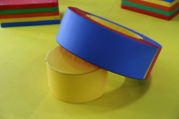 Positive And Negative Poles Mats